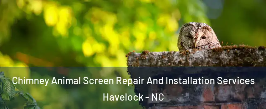  Chimney Animal Screen Repair And Installation Services Havelock - NC