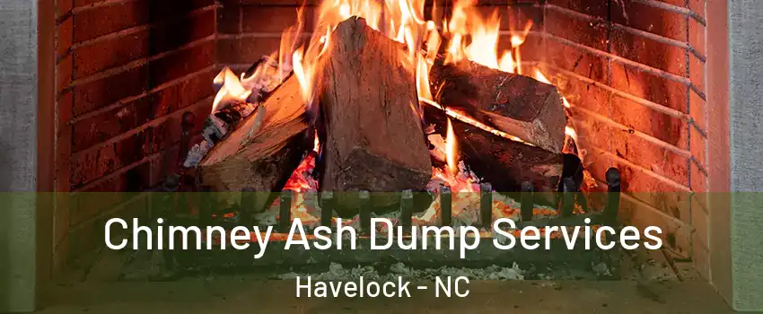  Chimney Ash Dump Services Havelock - NC