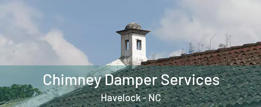  Chimney Damper Services Havelock - NC