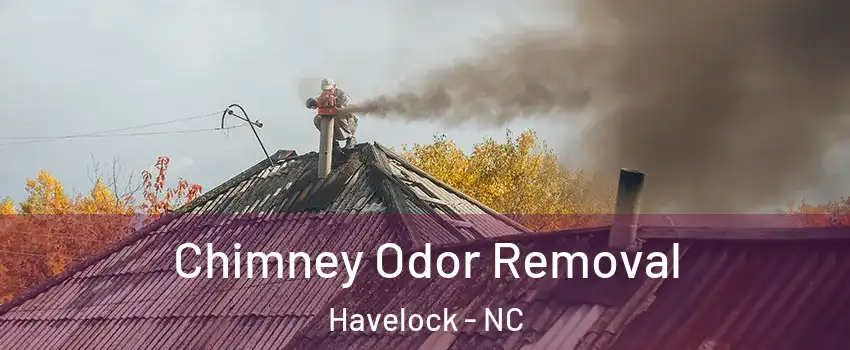  Chimney Odor Removal Havelock - NC