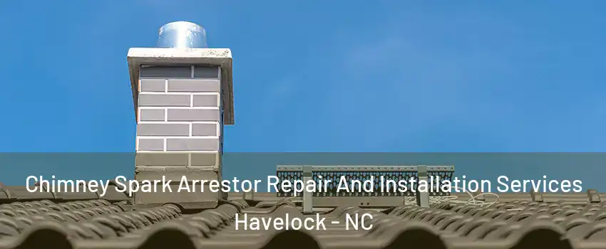  Chimney Spark Arrestor Repair And Installation Services Havelock - NC