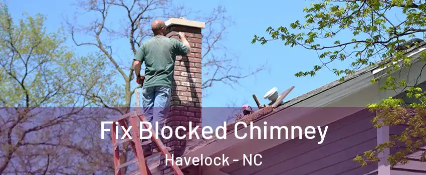  Fix Blocked Chimney Havelock - NC