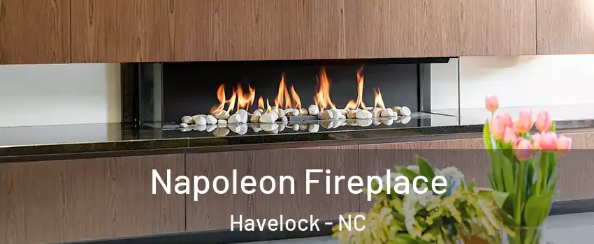  Napoleon Fireplace Havelock - NC
